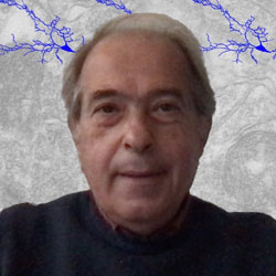 Ioannis Dalezios